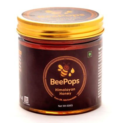 Combo Pack of 6 Pumpkin Seeds Protein Bars Box  (6NX30G) and Himalayan Honey (500G) in a gift bag